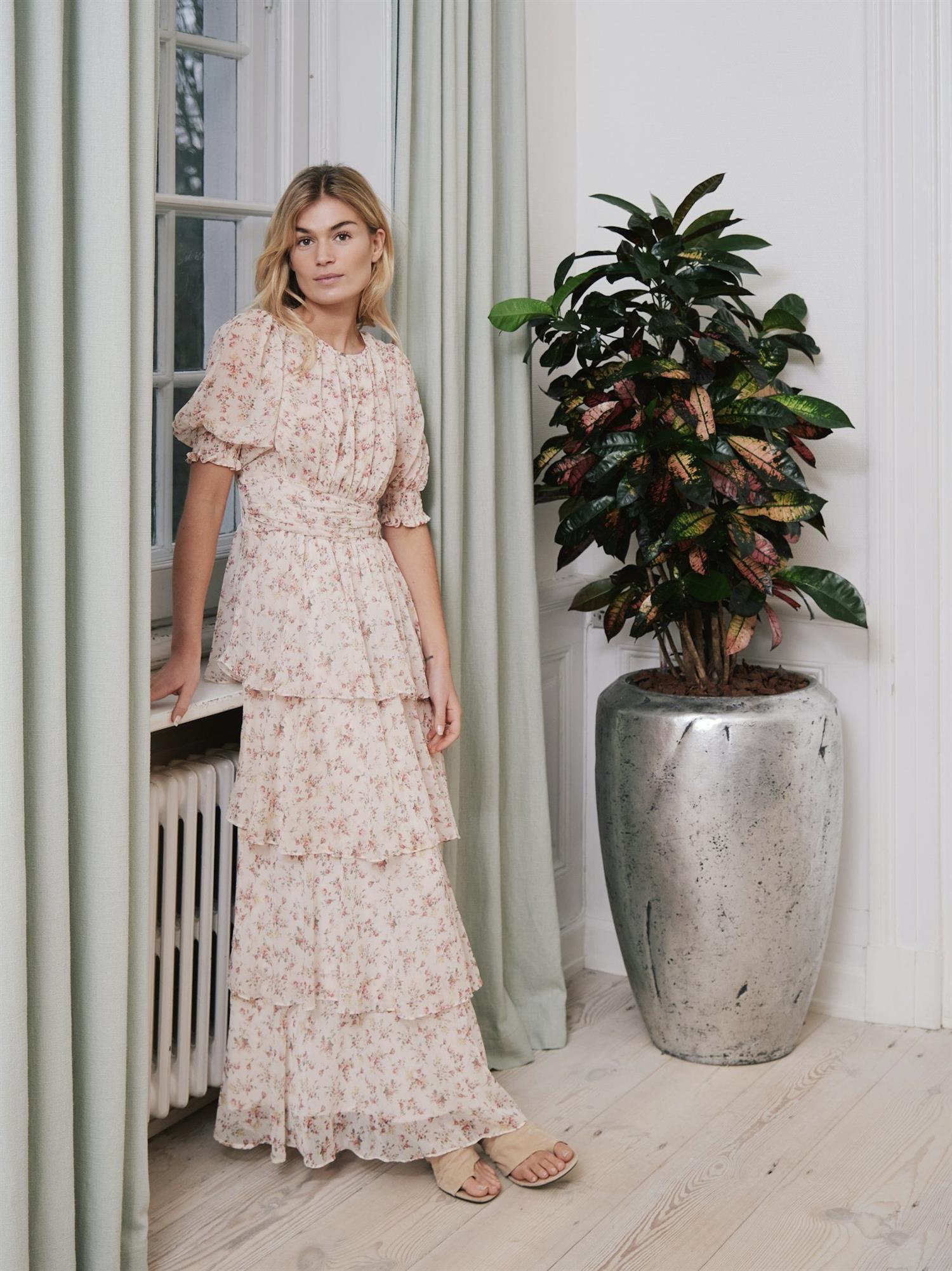 Sable Meadow Printed Dress