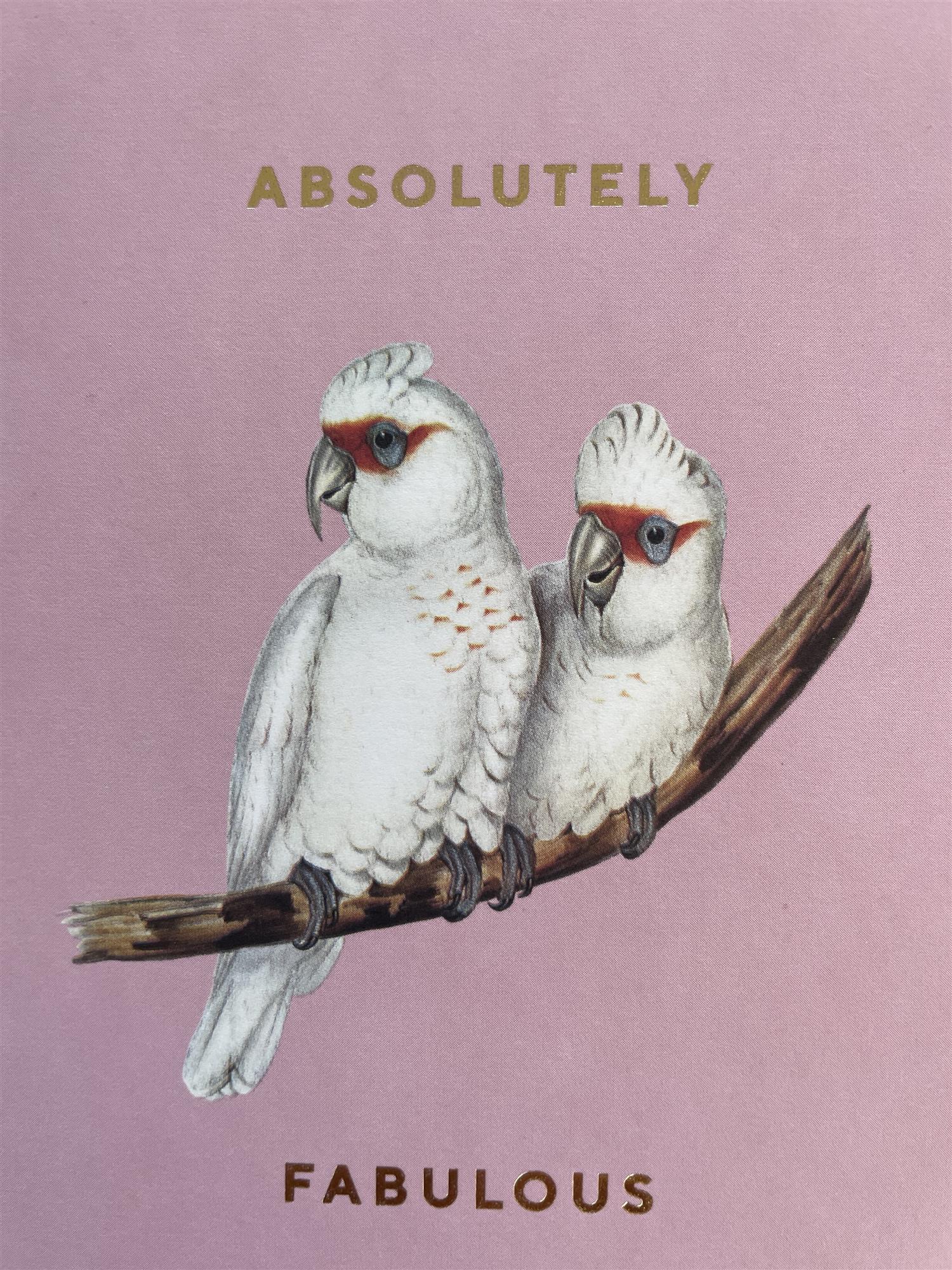 Absolutely Fabulous Postcard