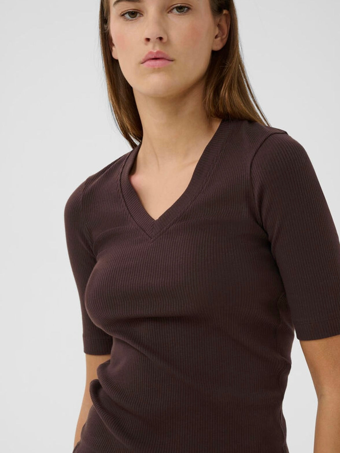 Dagna IW V T-shirt, Brown
