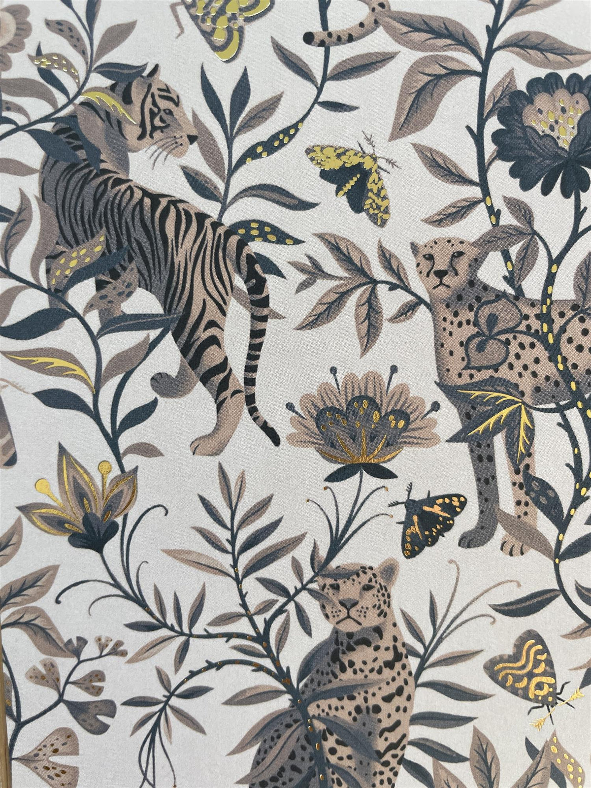 Tiger & Leopards Postcard