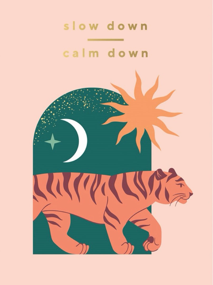 Slow down Calm down postcard