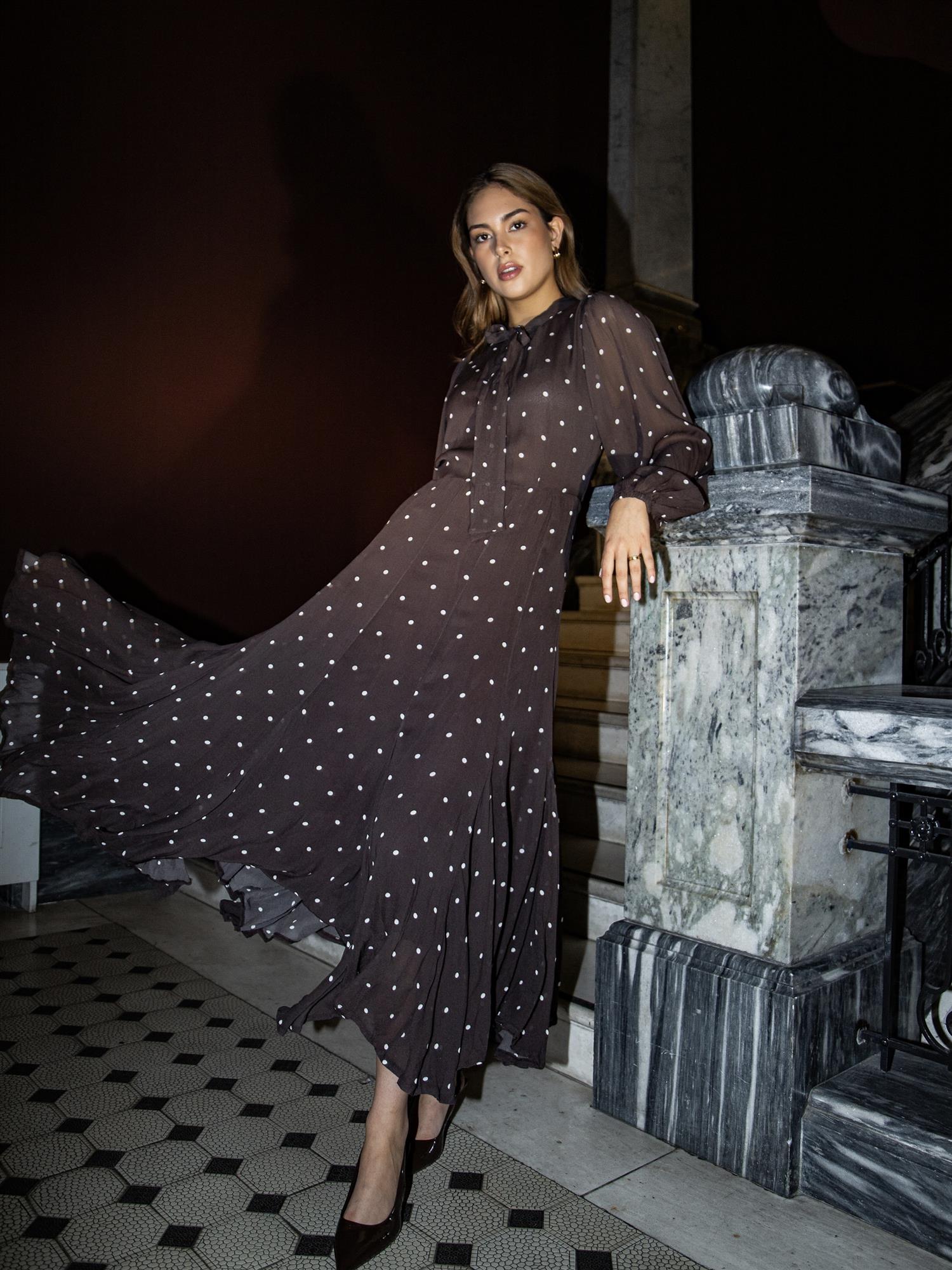 Daniella Dress French Dot, Brown