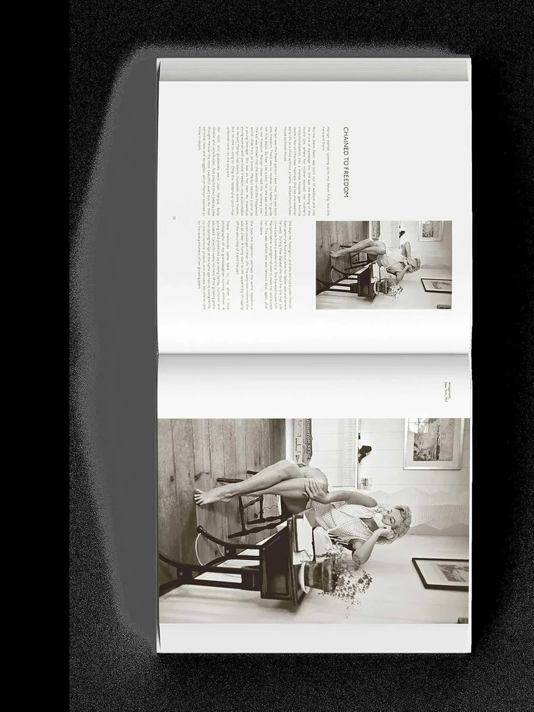 Dear Marilyn Book