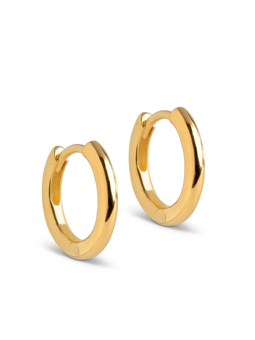 Earring, Hoops, Chunky classic