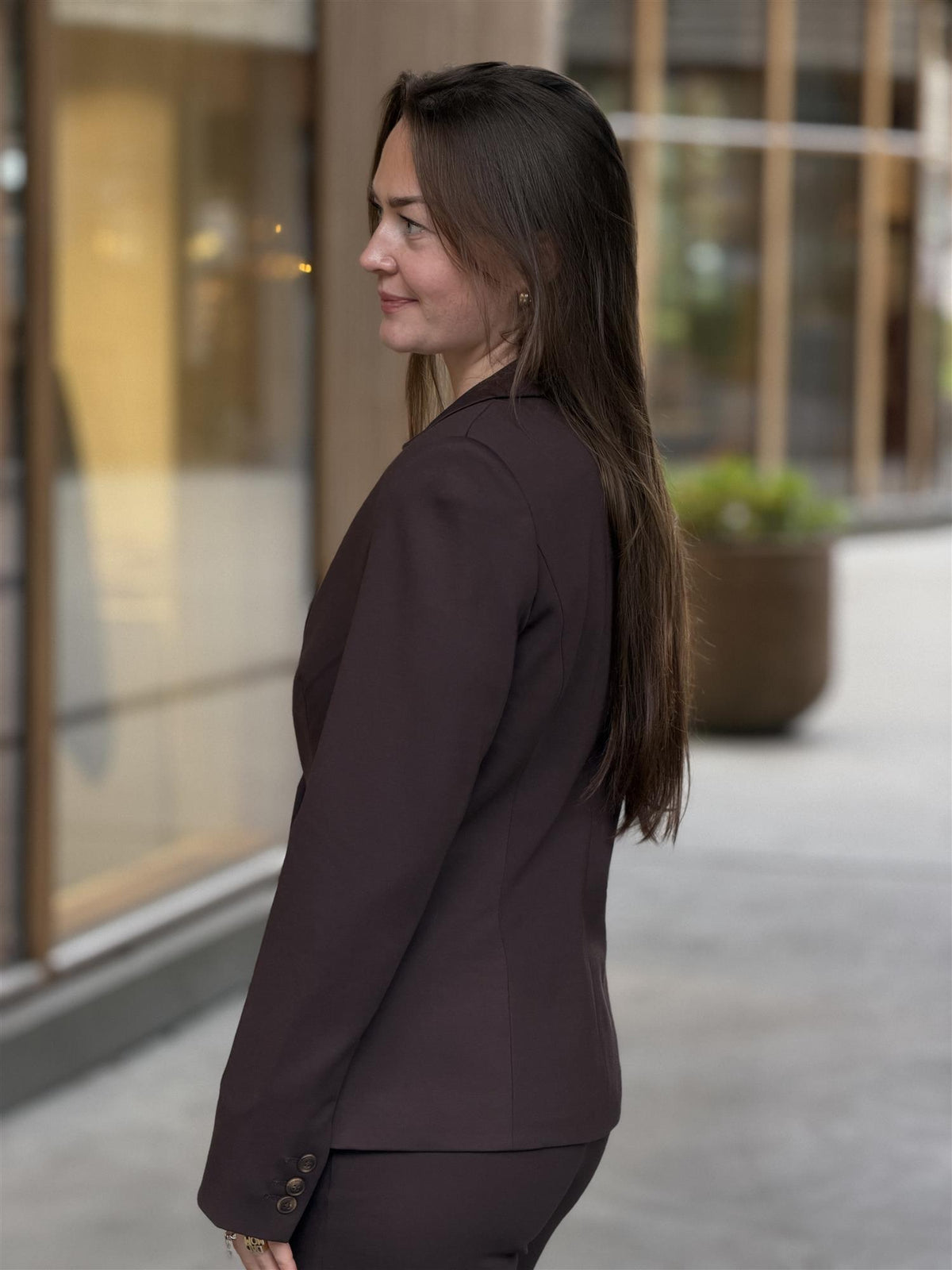 Elinor Blazer, Brown