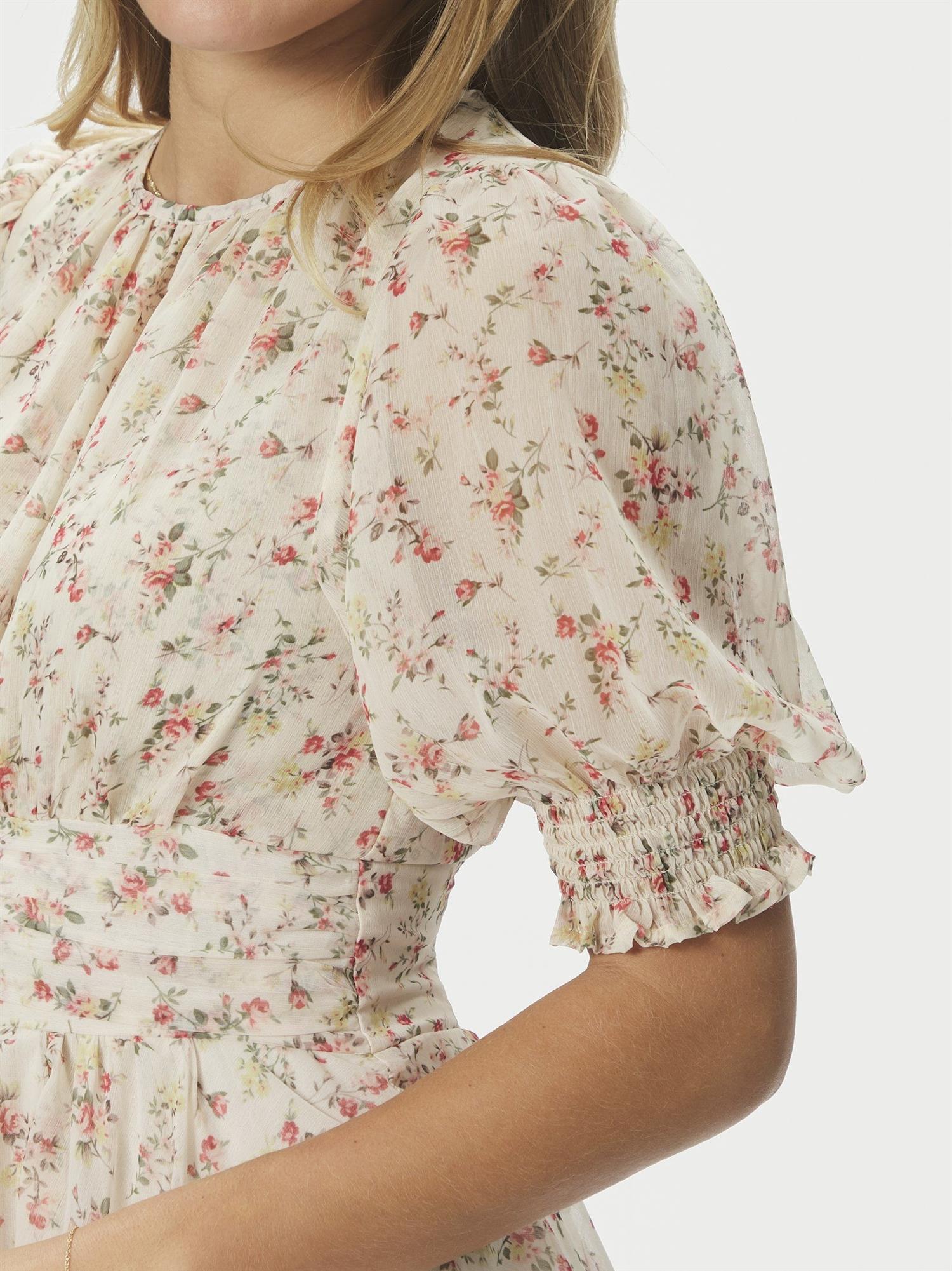 Sable Meadow Printed Dress