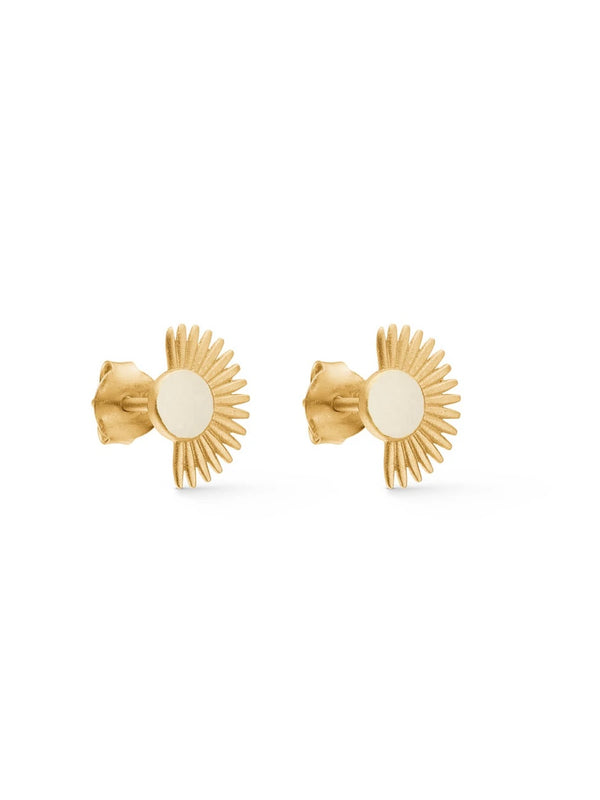 Studs Soleil, Daisy