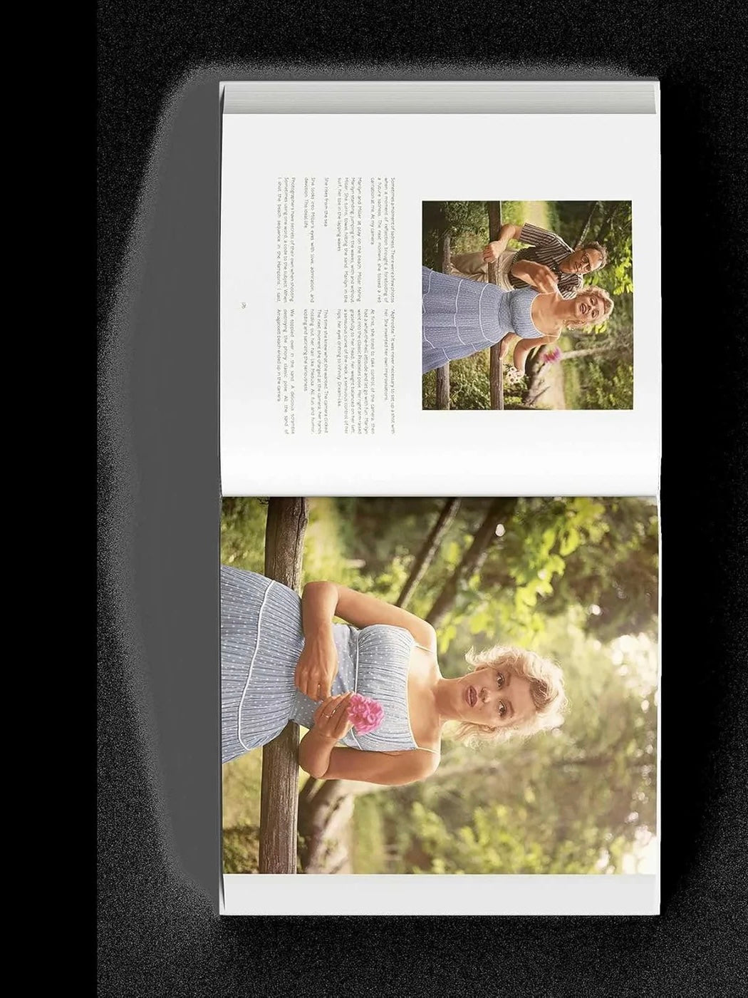 Dear Marilyn Book