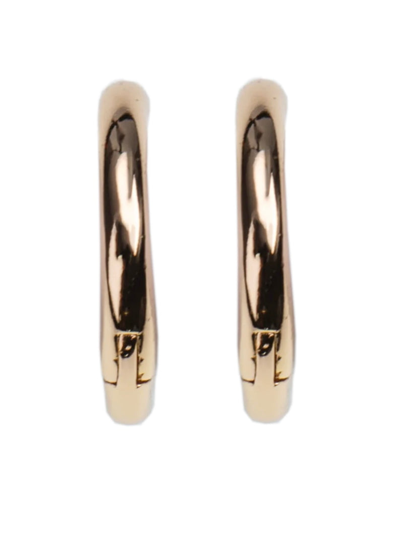 Earring, Small Hoops, gold