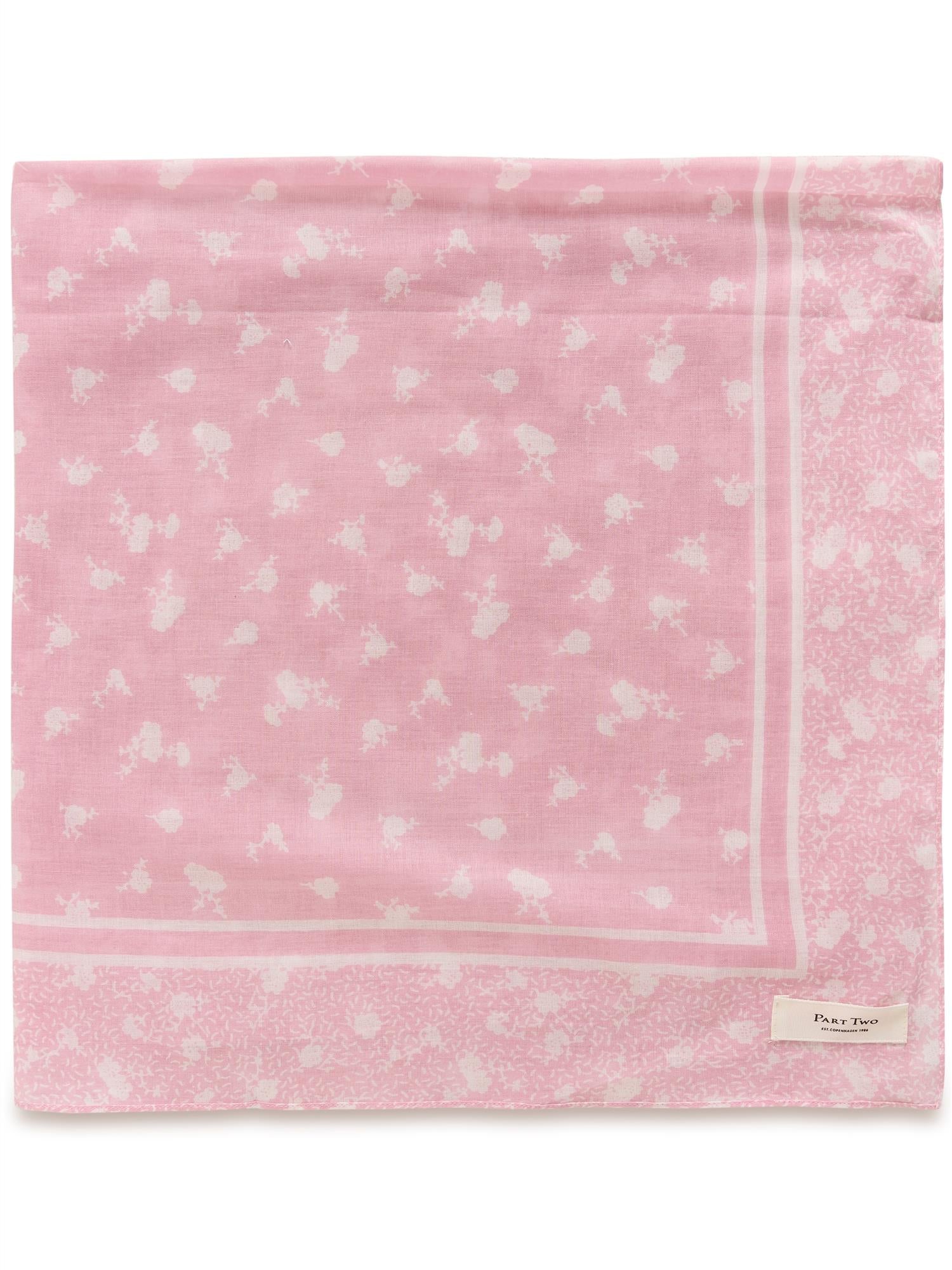 Phi PW SC
