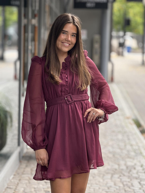 Organza Mini Dress