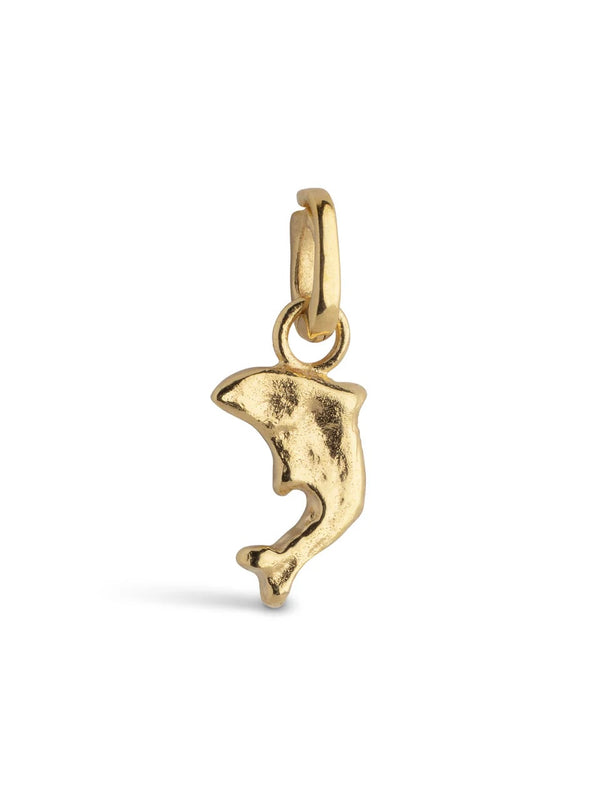 Charm, Joyful Dolphin