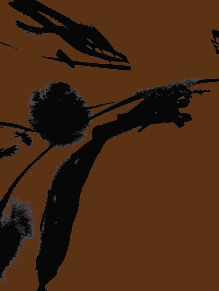 Venessa PW Blouse, Brown/Black