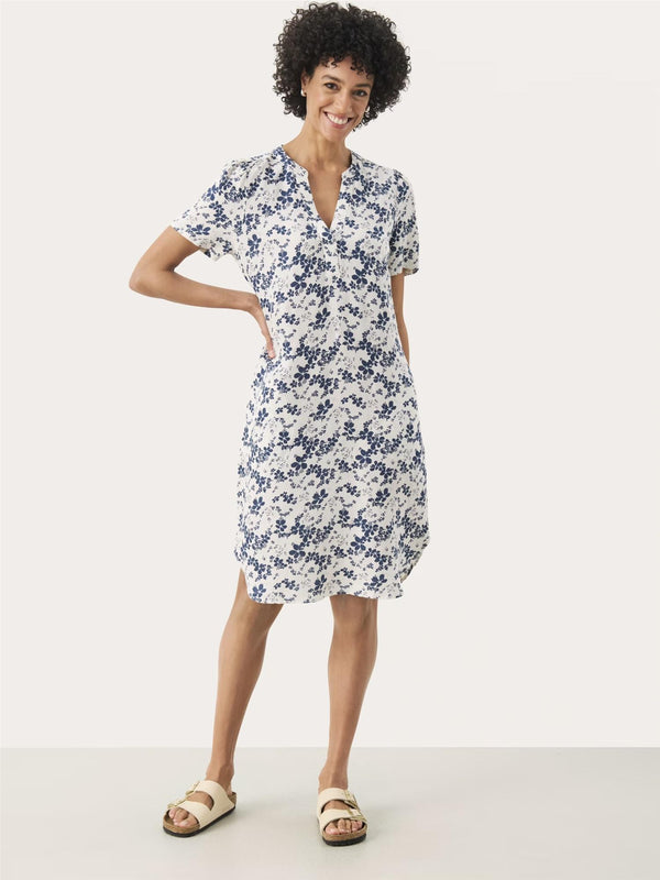 Aminase PW Dress, Blue