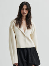 Dazzle Blazer, Jet Stream