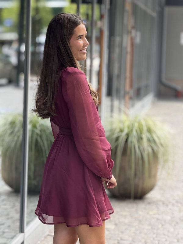 Organza Mini Dress