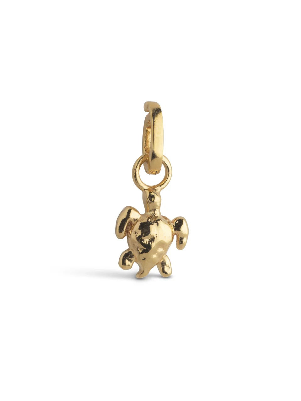 Charm, Calm Turtle