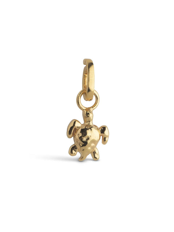 Charm, Calm Turtle