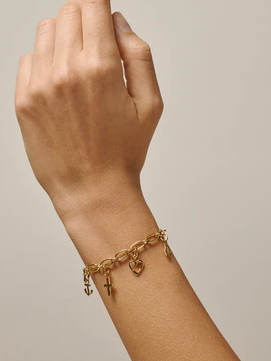 Charm, Steady Anchor