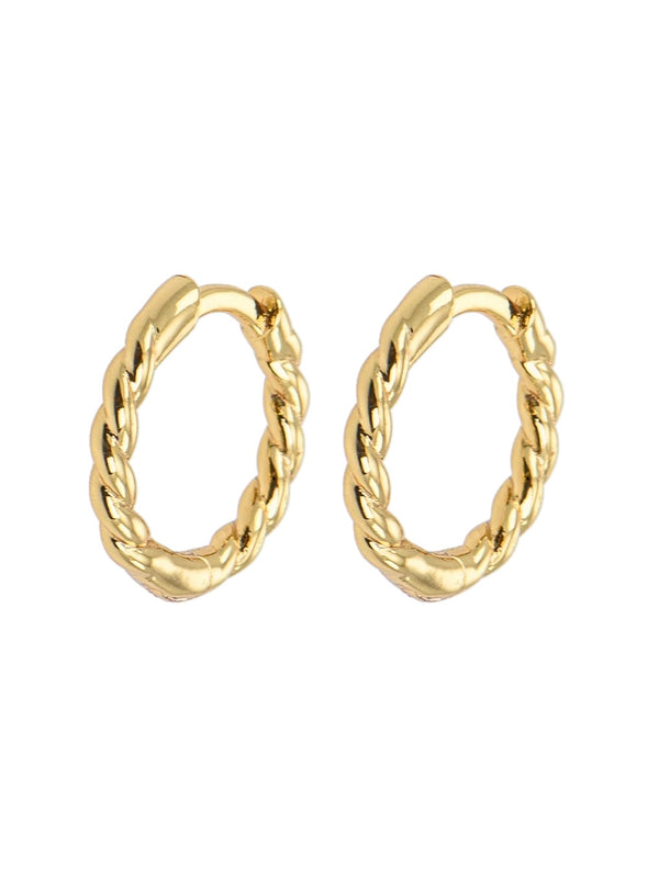 Earring, Small Twisted Hoops